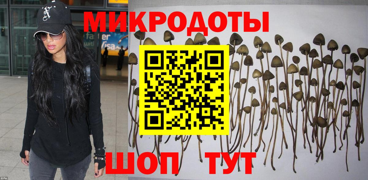 Галлюциногенные грибы GOLDEN TEACHER Кыштым