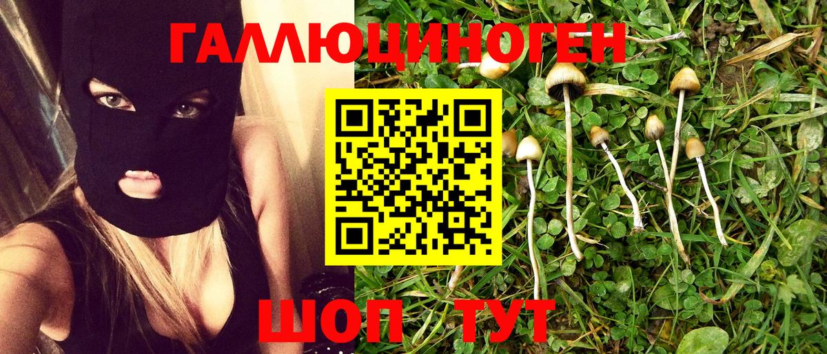Кыштым  Псилоцибиновые грибы ЛСД  Вход с VPN  Псилоцибиновые грибы Magic Shrooms 
